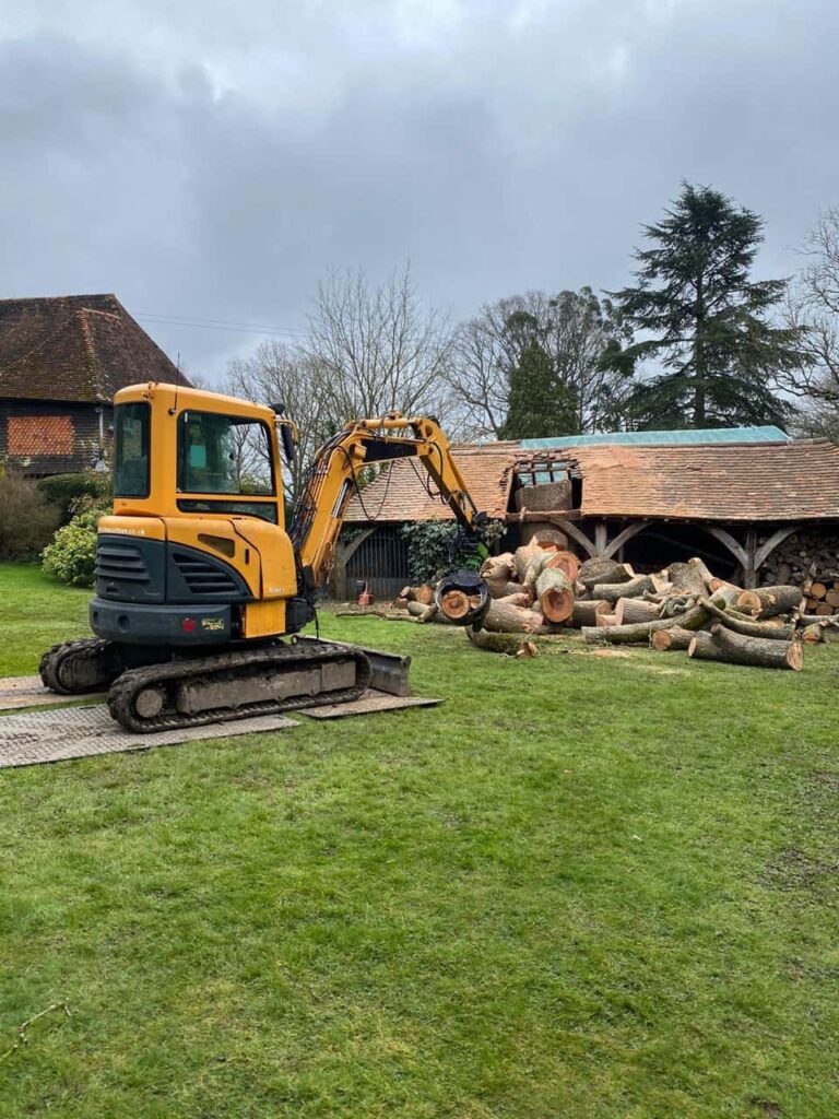 This is a photo of a tree which has grown through the roof of a barn that is being cut down and removed. There is a digger that is removing sections of the tree as well. Bromham Tree Surgeons