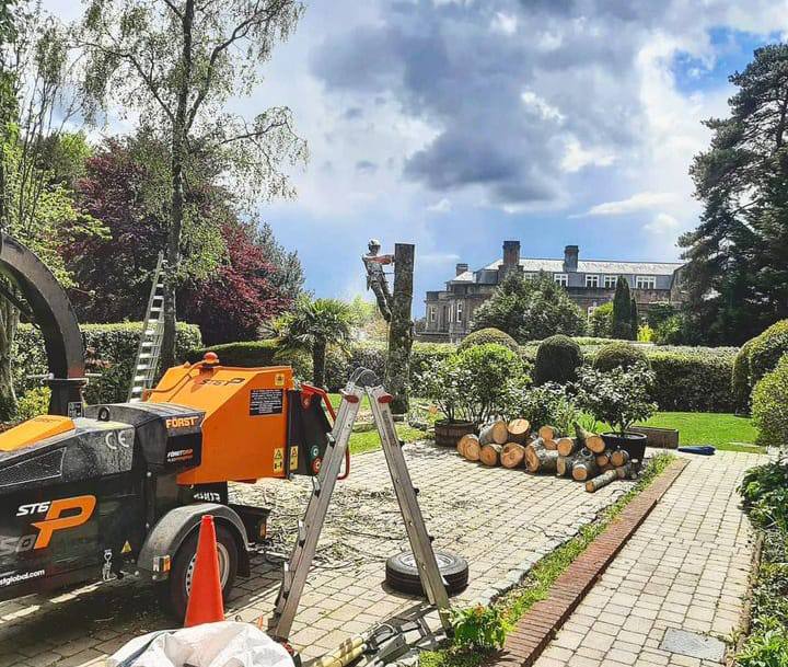 This is a photo of a tree being felled. A tree surgeon is currently removing the last section, the logs are stacked in a pile. Bromham Tree Surgeons