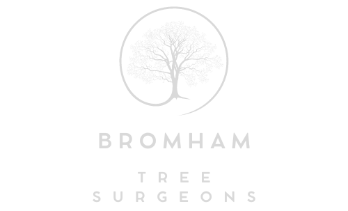 Bromham Tree Surgeons